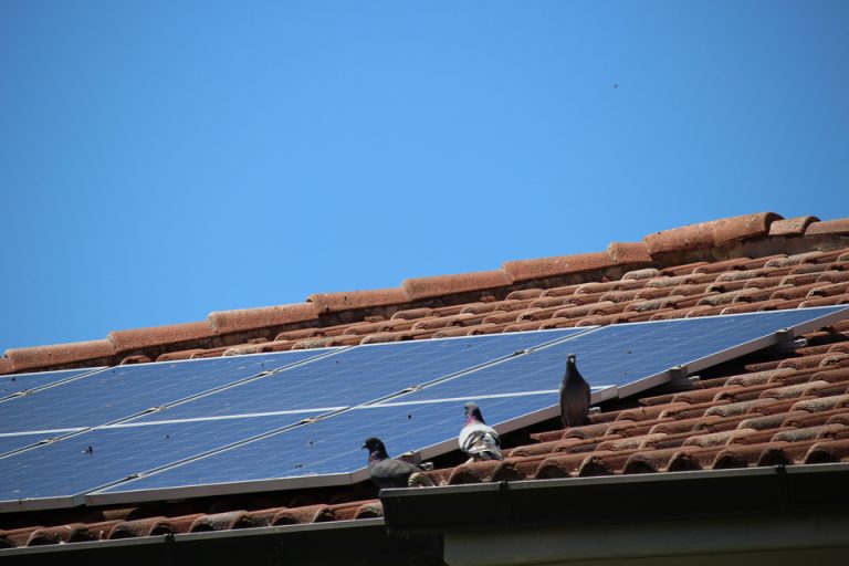 Protección de paneles solares contra pájaros