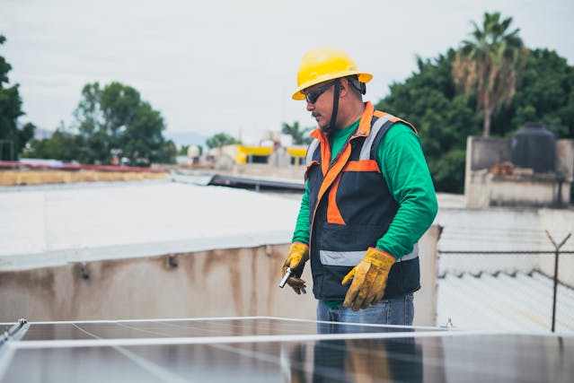 pájaros y paneles solares