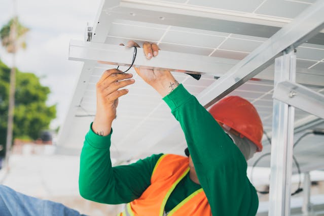 bird nesting in solar installations