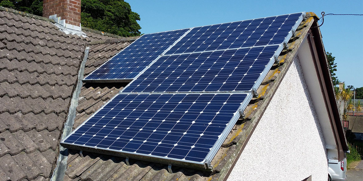 solar panels and birds