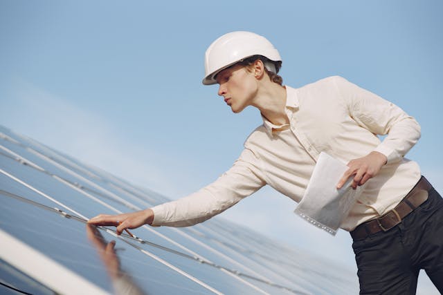 Problemas de palomas en los paneles solares