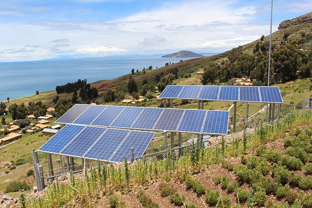 Excrementos de pájaros en paneles solares