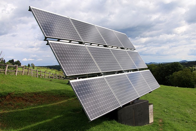 bird droppings on solar panels