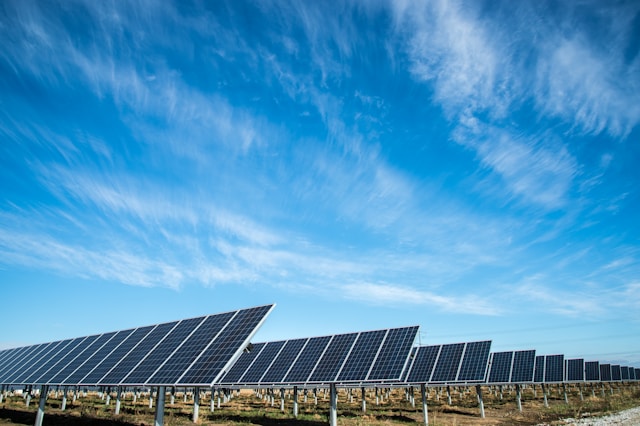 bird guard for solar panels