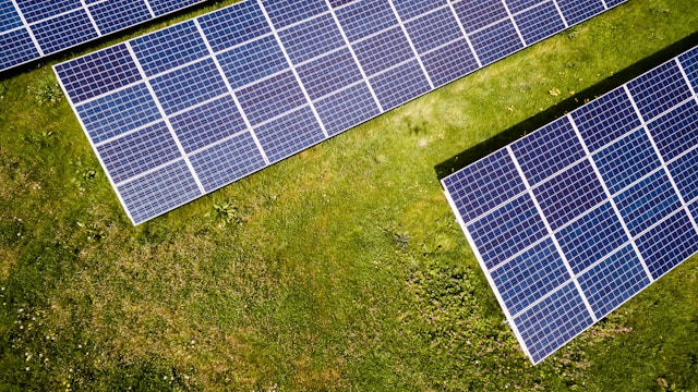 bird guard for solar panels