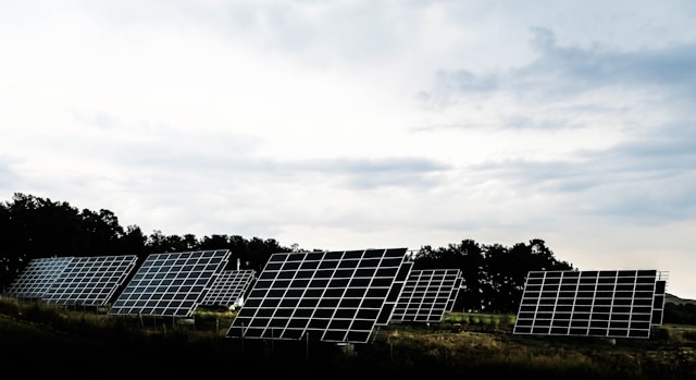 bird guard for solar panels