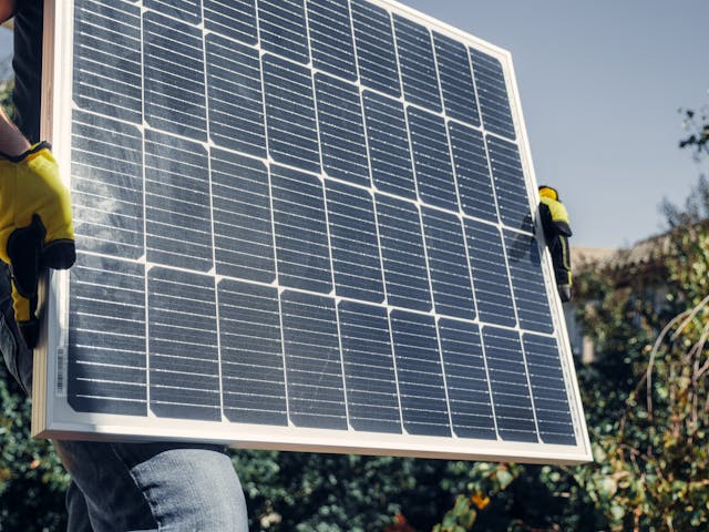 solar panel bird protection