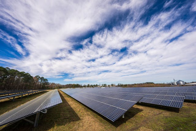 proteger las placas solares